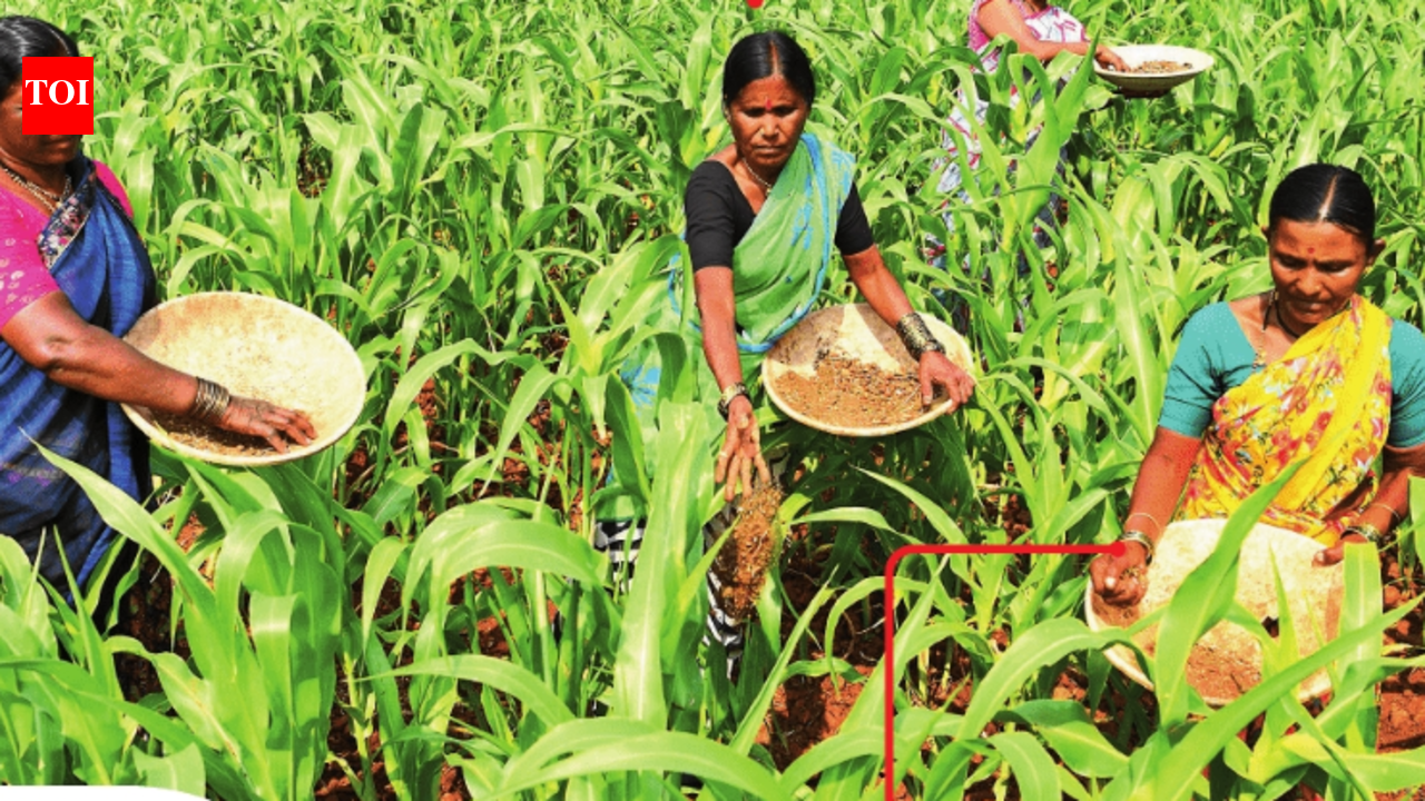 A patch of land, a plate of veggies, and a quiet revolution by Beed’s women