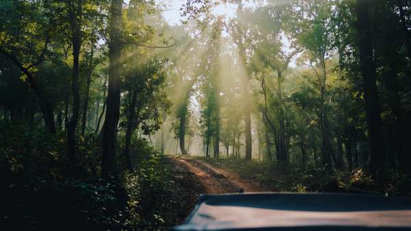 Why Mainpat is called the ‘Shimla’ of Chhattisgarh, and how Ulta Pani fooled gravity