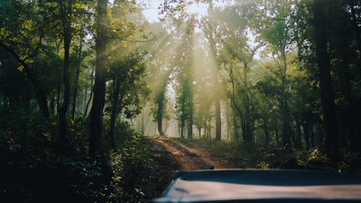 Why Mainpat is called the ‘Shimla’ of Chhattisgarh, and how Ulta Pani fooled gravity