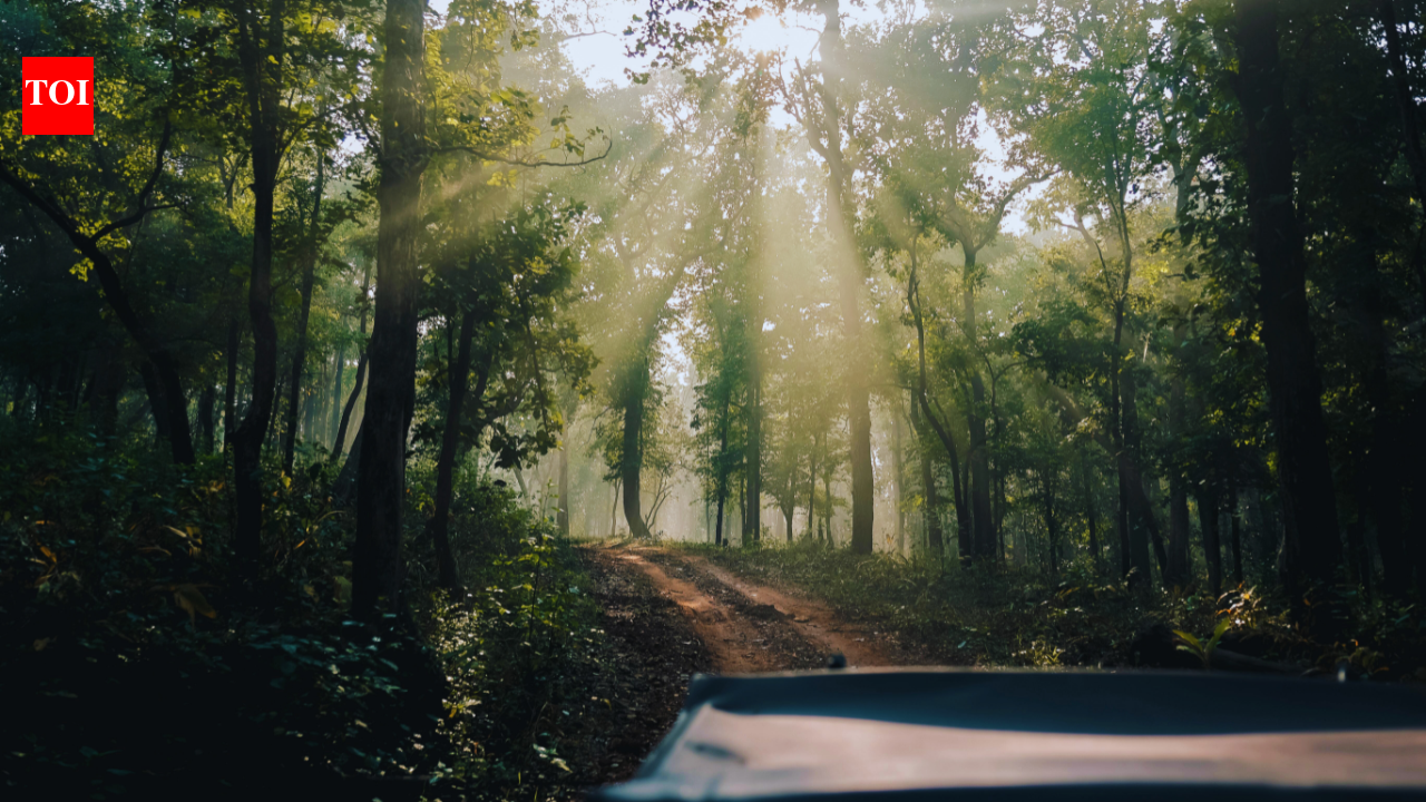 Why Mainpat is called the ‘Shimla’ of Chhattisgarh, and how Ulta Pani fooled gravity