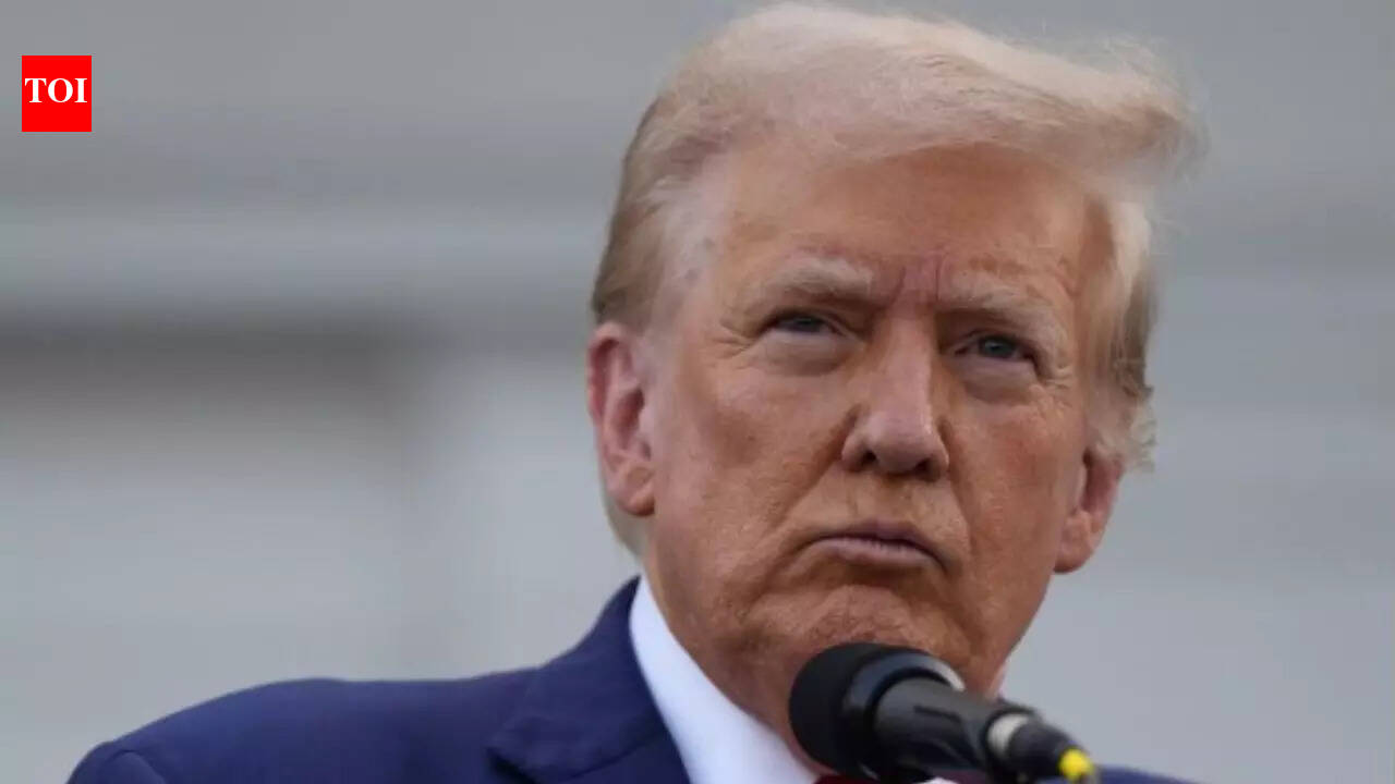 ‘Should we take all our soldiers with us?’ US envoy’s deleted post fuels outrage in Poland amid Trump ‘insult’ row – The Times of India