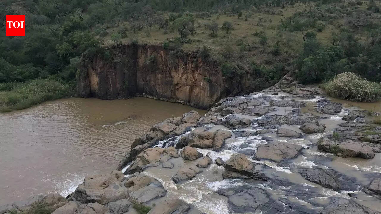 Crocodile attack or witchcraft ritual? No trace of British tourist who vanished in South Africa