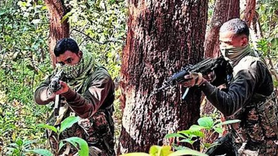 Seven Naxals killed in Gadchiroli, including top leader; special force jawan succumbs to injuries