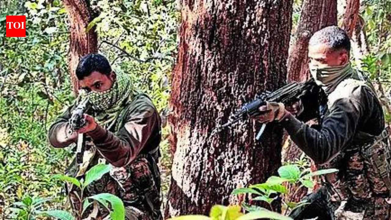 Seven Naxals killed in Gadchiroli, including top leader; special force jawan succumbs to injuries