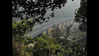 Shivalik Forest Div ropes in Van Gujjars to make range polythene-free