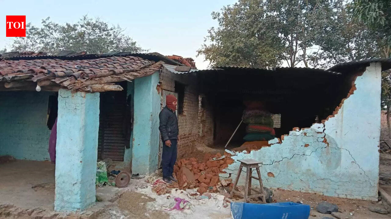 Wild Elephant Rampage in Chatra: Villages Damaged, Livestock Killed