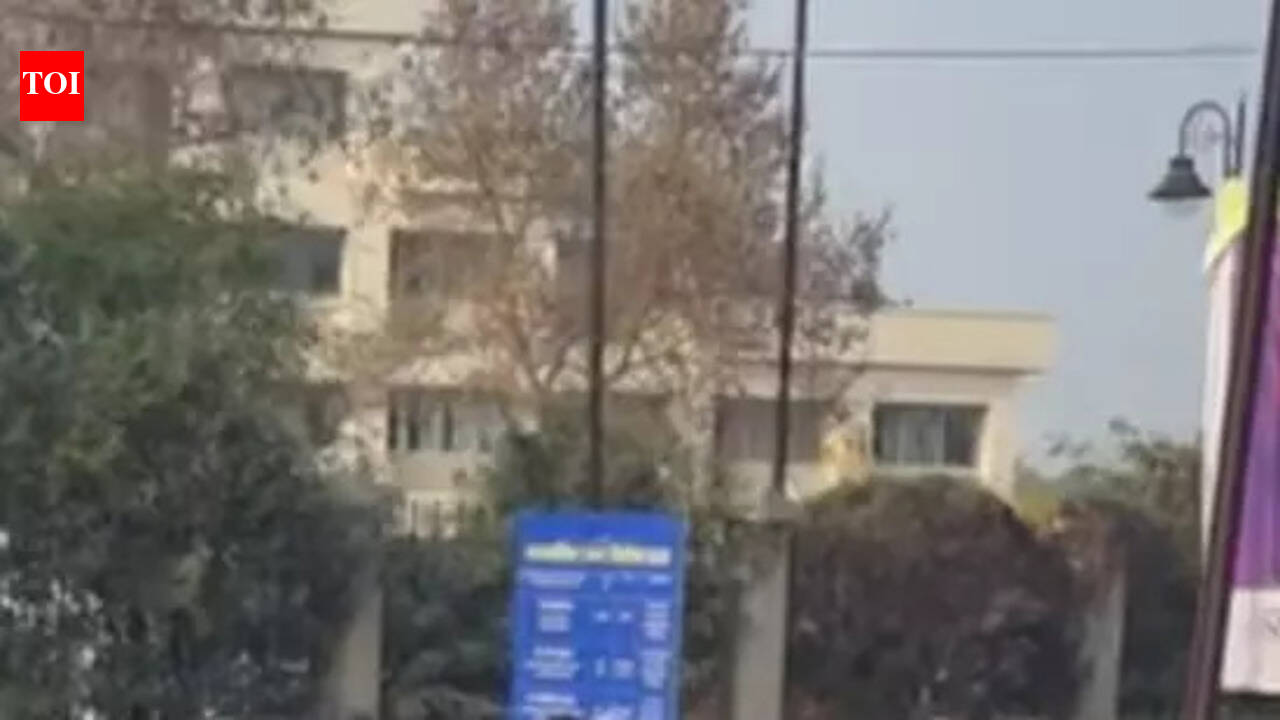 Former ward councillors field their wives in Hazaribag civic body polls