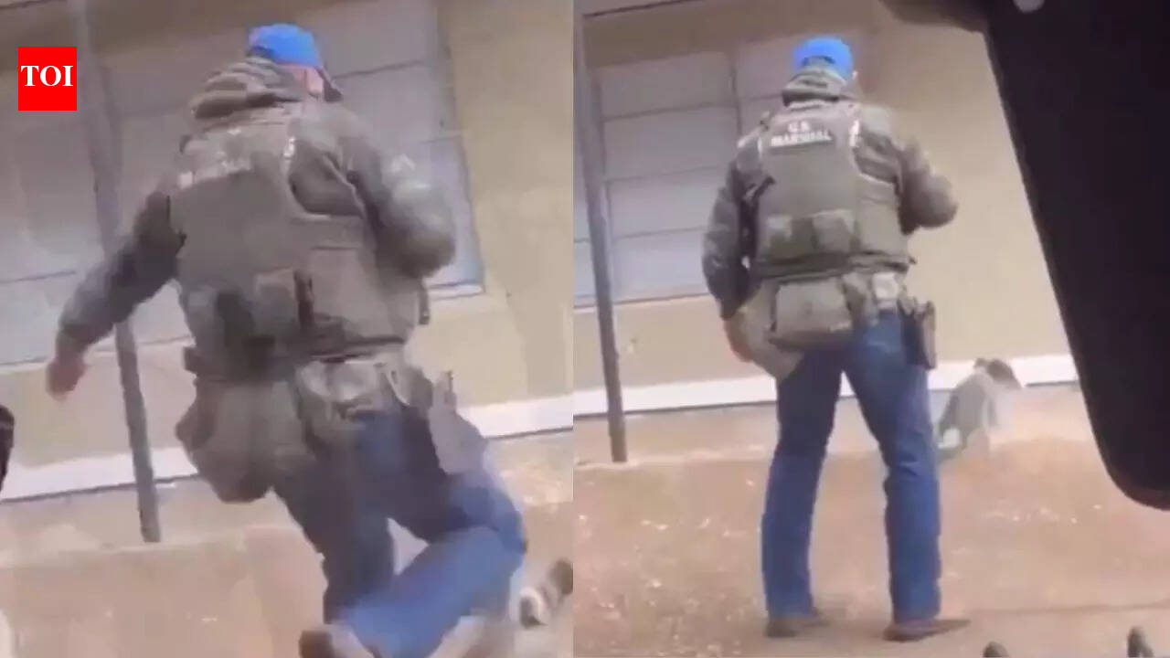 Watch: US marshal kicks dog during arrest operation in Memphis; Agency cites safety concerns