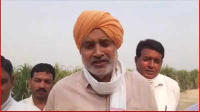 Livestock farmers’ income to be quadrupled by 2047: Haryana minister