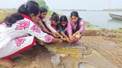 Villagers worship crocodiles to save themselves from attack