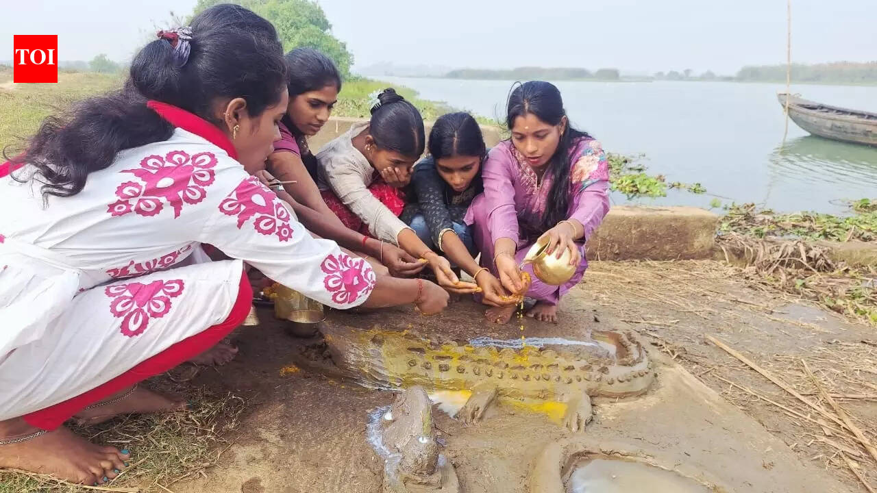 Villagers worship crocodiles to save themselves from attack