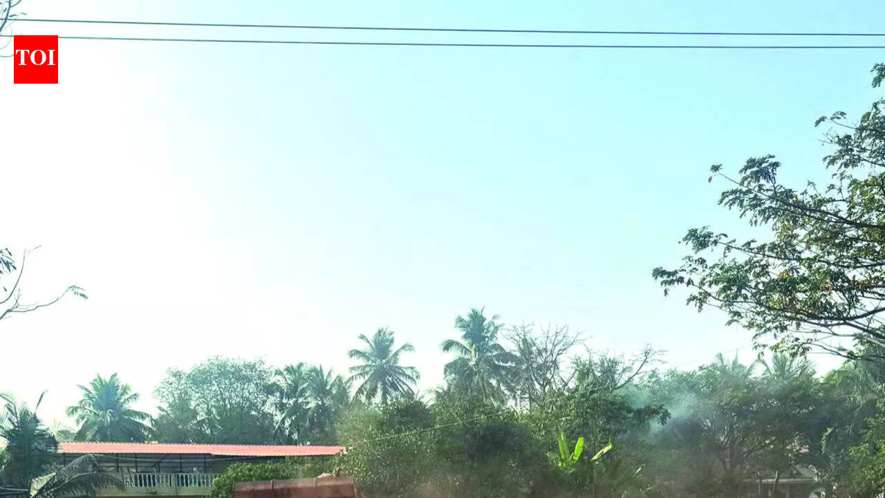 Panaji corporation assures clearance of debris in Dona Paula