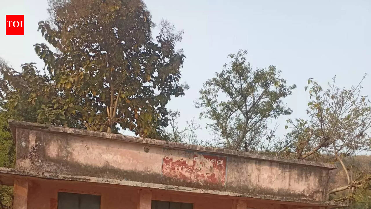 52 students from from 6 classes share 1 classroom, 2 teachers, 2 blackboards at Rourkela govt school