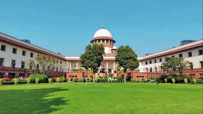 SC final warning to T speaker, gives 3 wks on defection cases