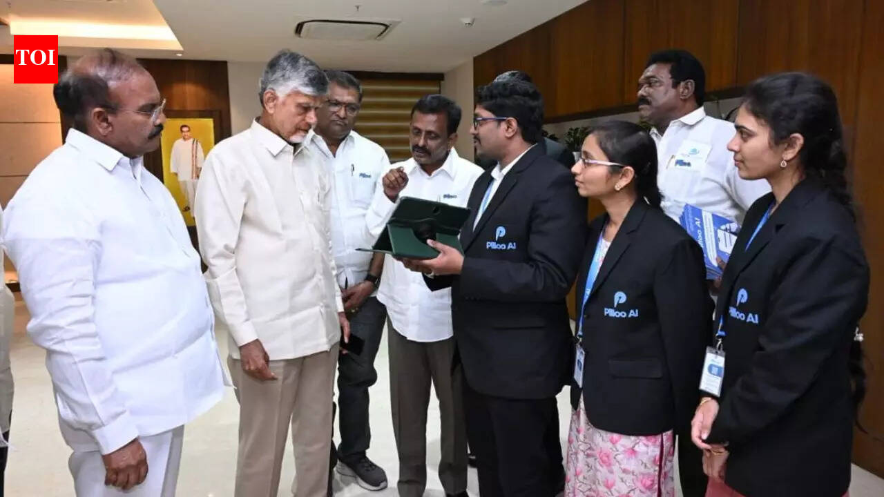 Pilloo AI launched in India: What it is and how this voice-based AI aims to simplify life for small business owners