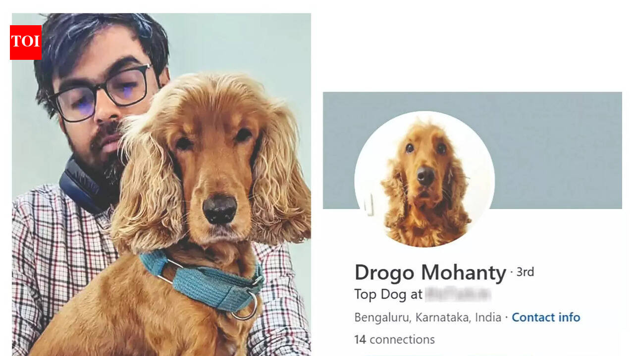 Believe it or not: This doggo just got a promotion