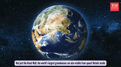 Not just the Great Wall, the world's largest greenhouses are also visible from space! Details inside