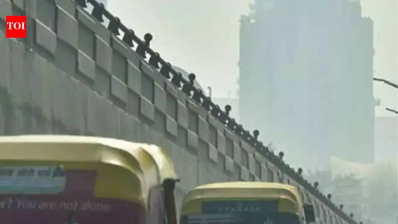 India's most polluted: 4 NCR cities breathed worst air in Jan