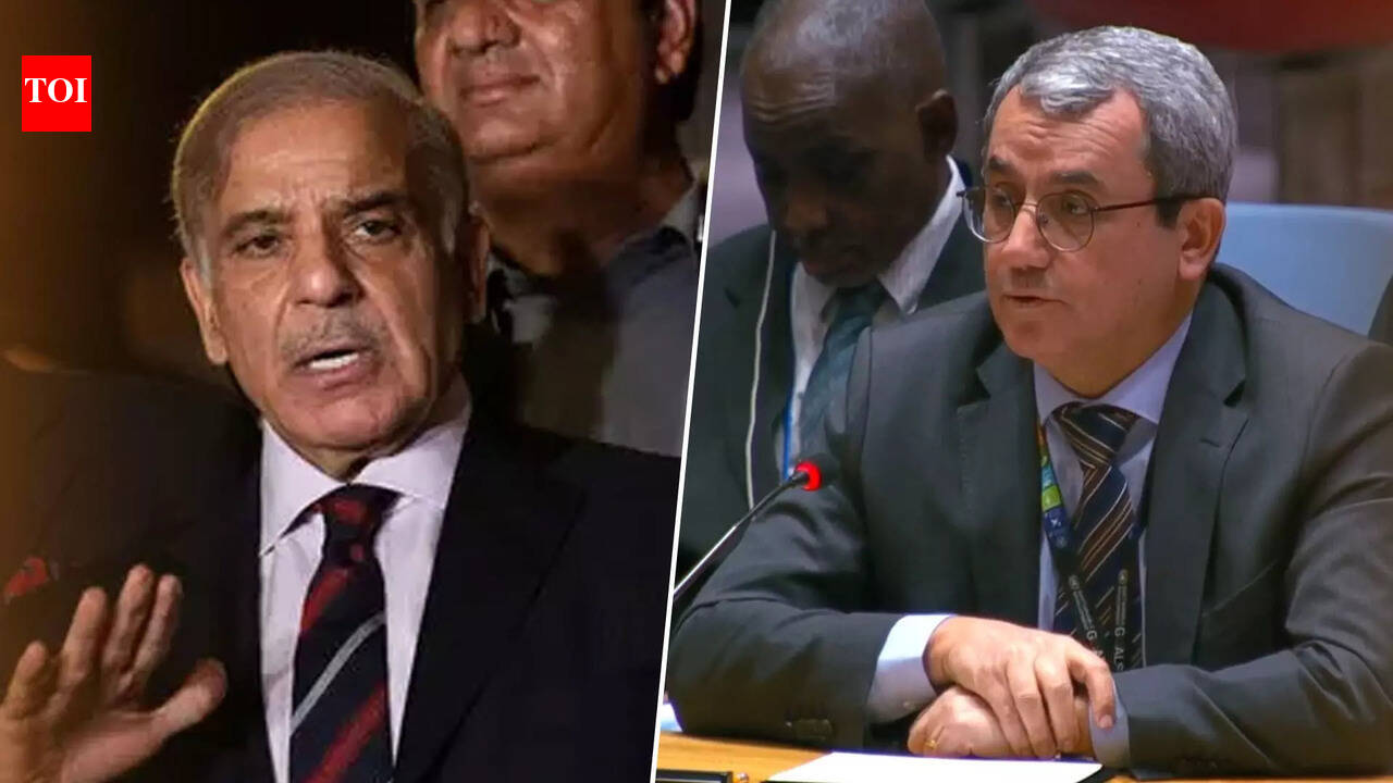 Turkey Sides With Pakistan On Kashmir At UN After Sharif’s Rhetoric On India's 'Integral' Territory