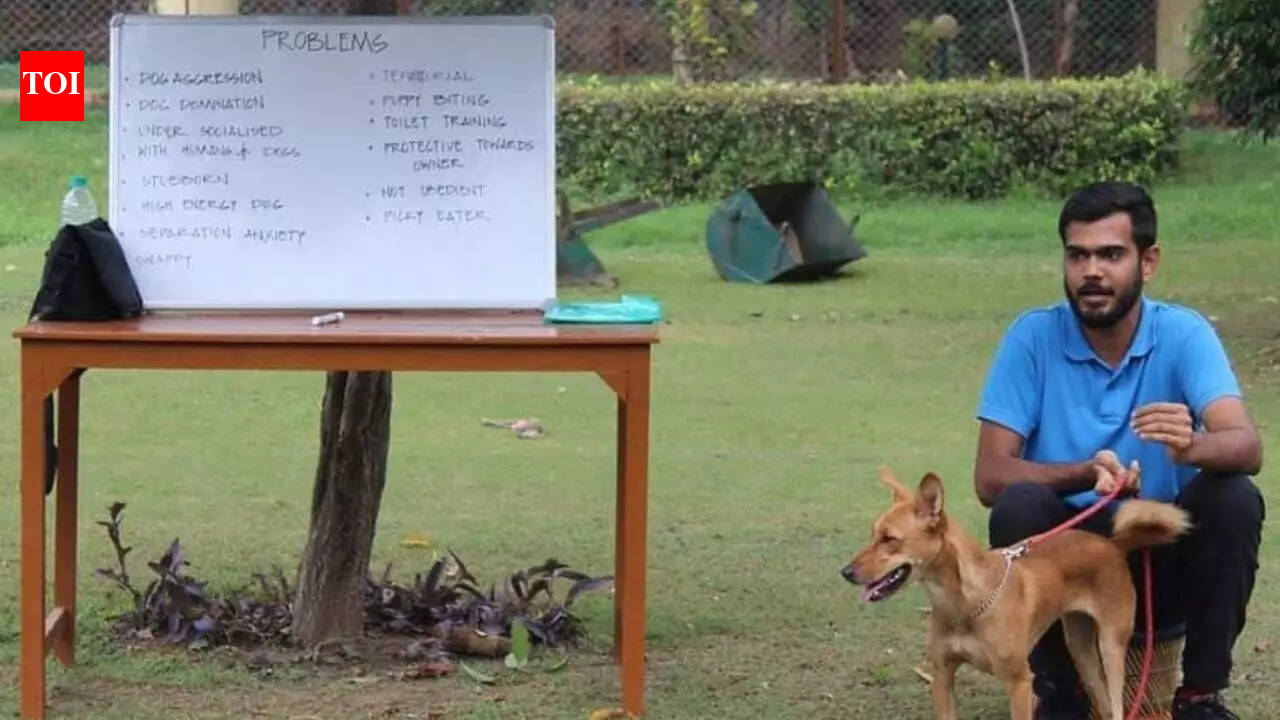 Dog training academy launches National Dog Bite Prevention & Reduction Campaign