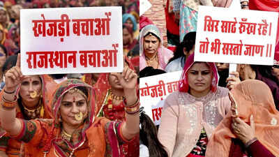 ‘Khejri Bachao Andolan': Why Rajasthan is rallying to protect its ‘Kalpavriksha’? Explained