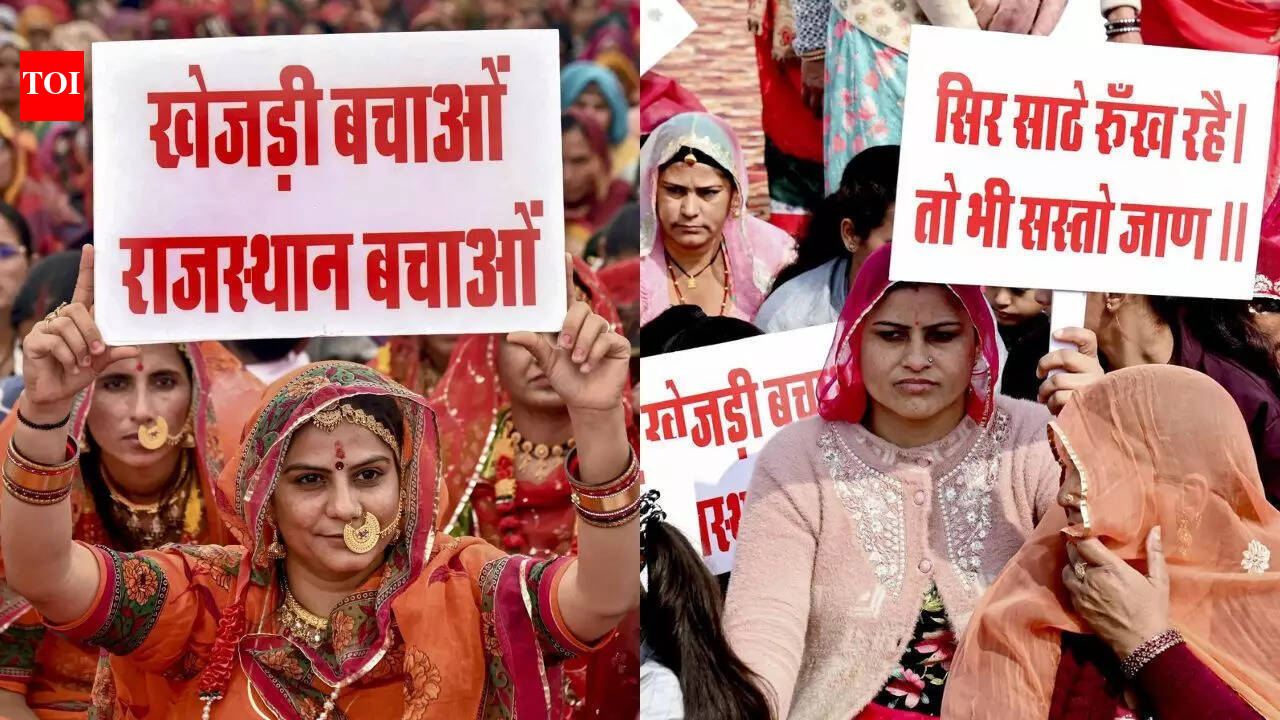 ‘Khejri Bachao Andolan': Why Rajasthan is rallying to protect its ‘Kalpavriksha’? Explained