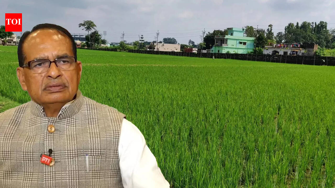 "To Benefit Farmers...." Shivraj Singh Chouhan Big Claim On India-US Trade Deal