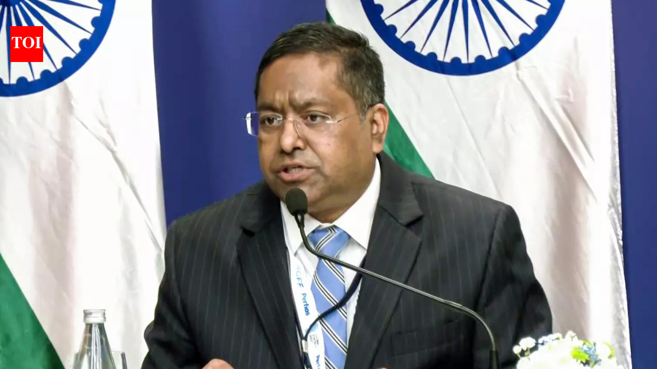 Russia oil to keep flowing? India reiterates stance on energy sourcing