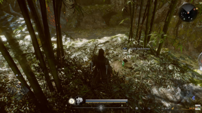  All Kodama in Iinoya region and How to find