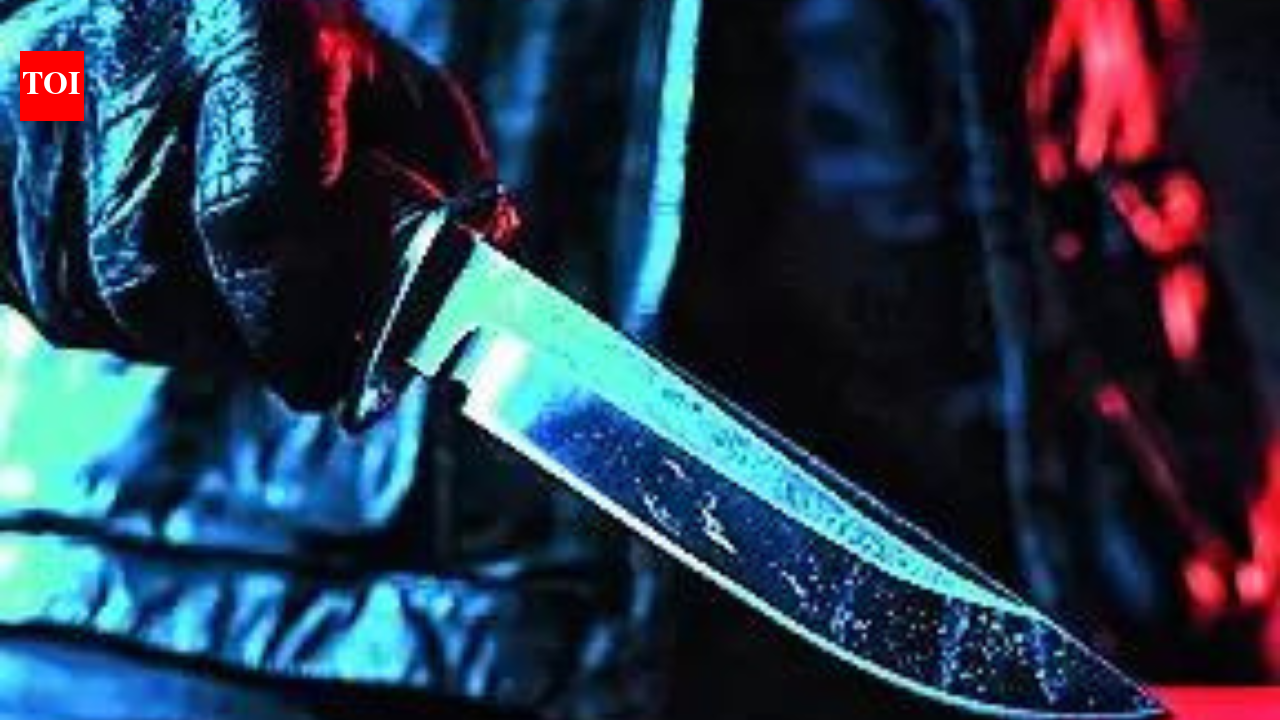 Indian among 8 injured in stabbing attack at Russian university