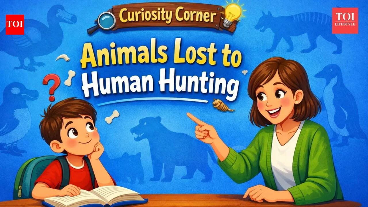 Curiosity Corner: Animals that went extinct because of human hunting