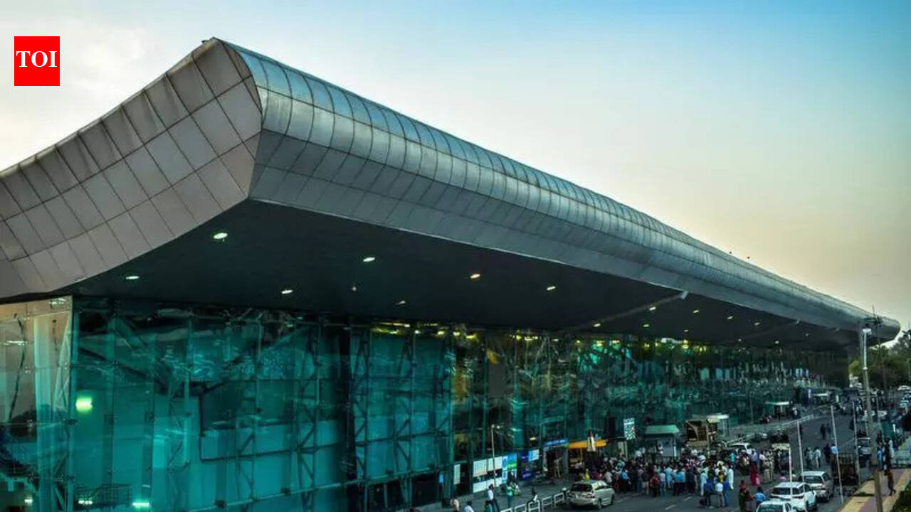 Security agencies step up measures at Amritsar airport after drone sighting