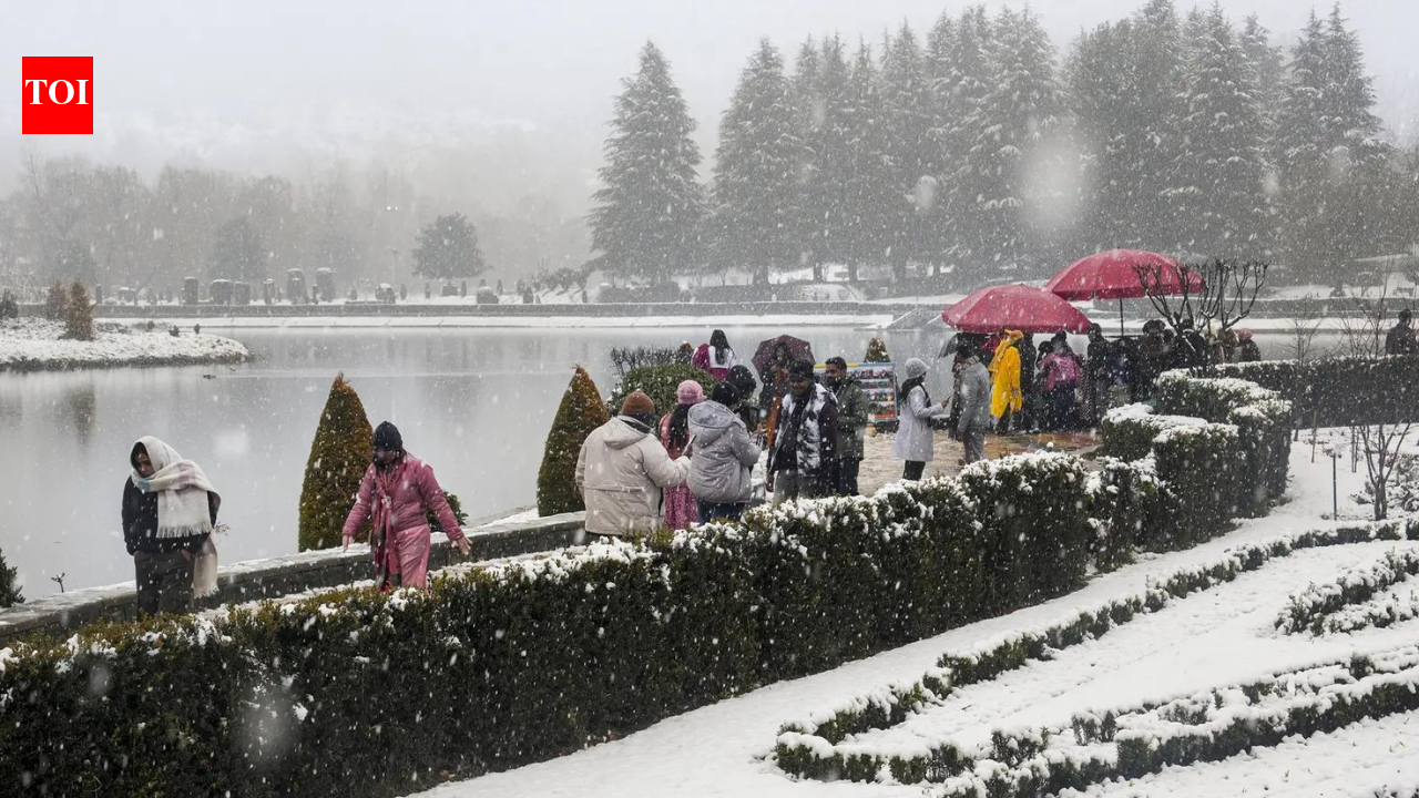 Over 1.7 crore tourists, including 36,000 foreigners, visited J&amp;K in 2025: Govt