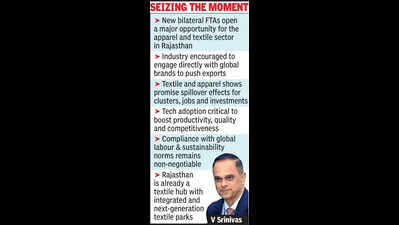 Raj likely to get one of 7 mega textile parks announced in Budget