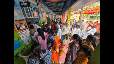 Surveyor, volunteer or analyst: SPPU students find work in election season