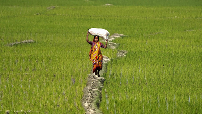 India offers limited access to agri goods; protects staples, dairy