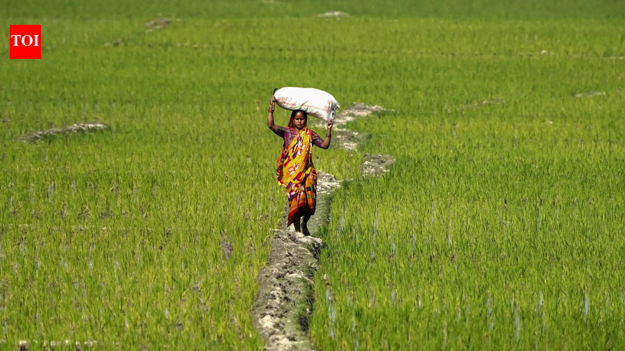 India offers limited access to agri goods; protects staples, dairy