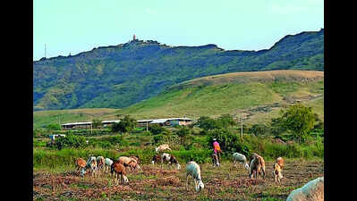 Ecologists tap into 750 yrs of Marathi lit to explain Maha landscape history