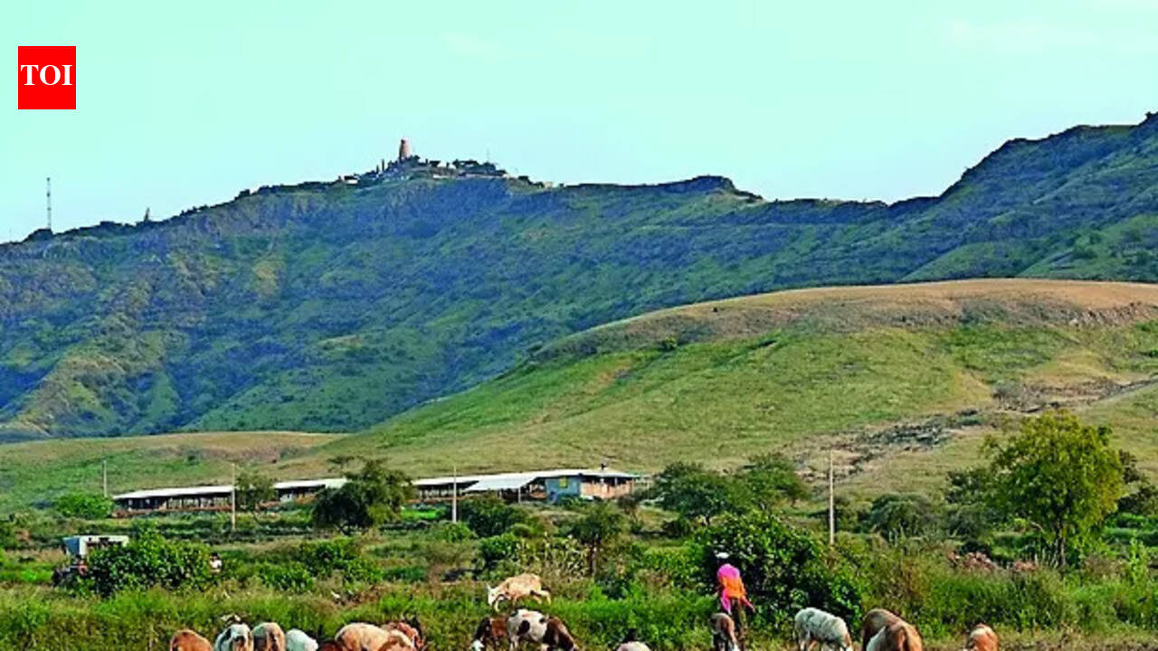 Ecologists tap into 750 yrs of Marathi lit to explain Maha landscape history