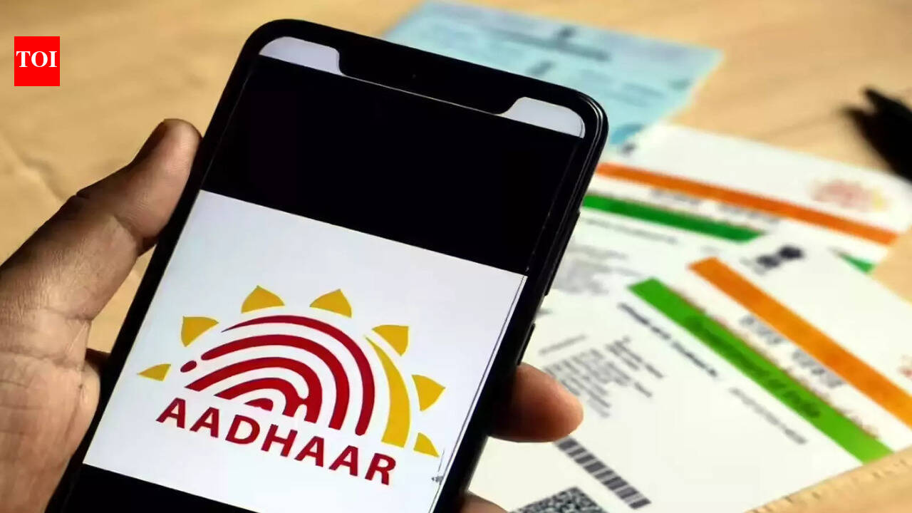 Paperless Aadhaar explained: How to download and use it