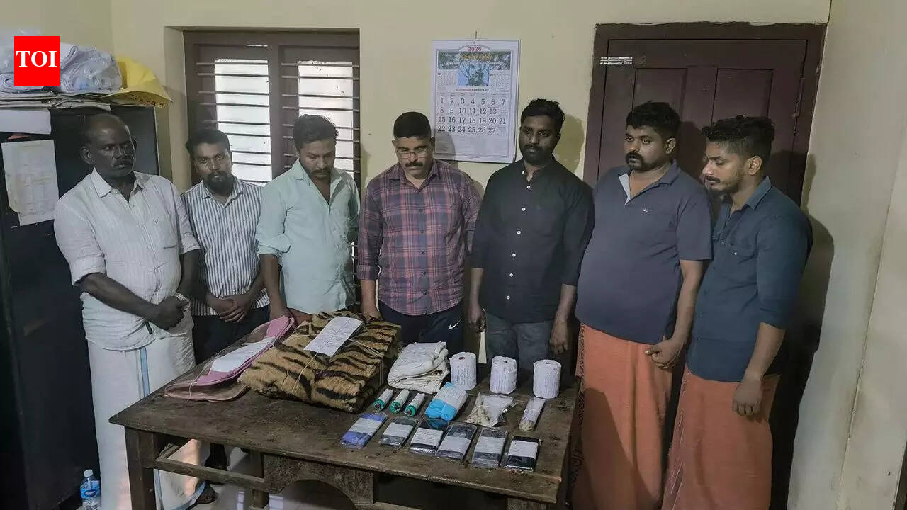 Kerala shocker: 7-member gang arrested for attempting to sell tiger skin, claws, and teeth in Kannur