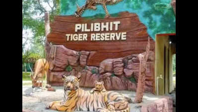 UP tiger reserves ban mobile phones; tourists, wildlife lovers unhappy