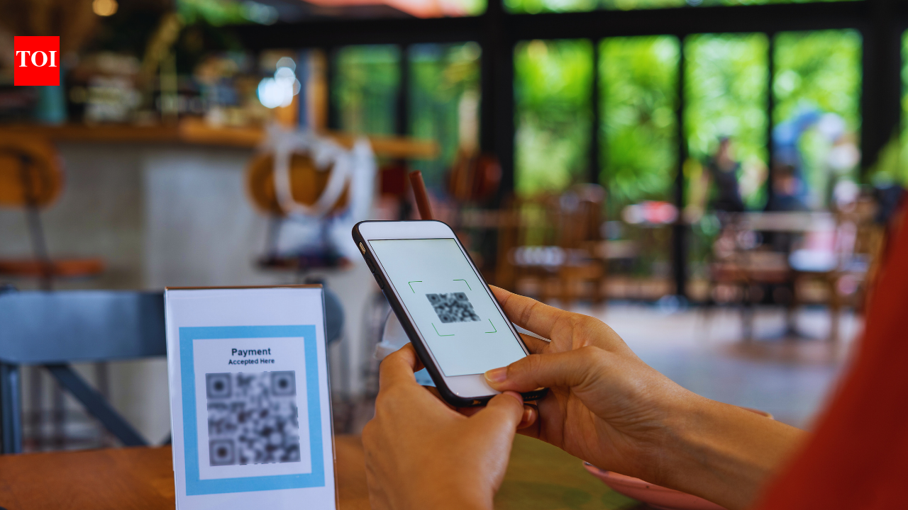 Why UPI didn’t work for this foreign tourist travelling in India, and some useful tips