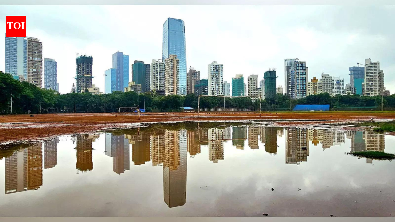 Post-Covid surge stabilises: Godrej Properties executive chairperson says Indian housing market remains strong