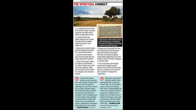 Ecologists explain state’s landscape history guided by 750 years of Marathi lit works
