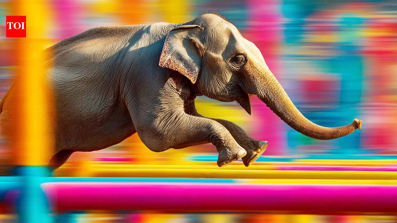 ‘First Came Confidence, Then The Great Indian Trade Sprint’