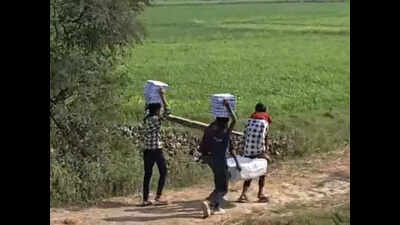 ‘Schoolchildren’ made to carry textbook bundles in Barh, education department seeks answers