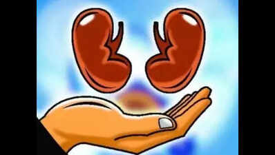 Three organ donations in 24 hrs; 10 in city this year