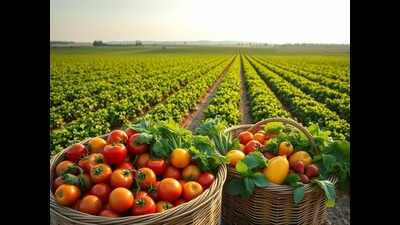 Horticulture festival clocks Rs20 lakh sales in three days