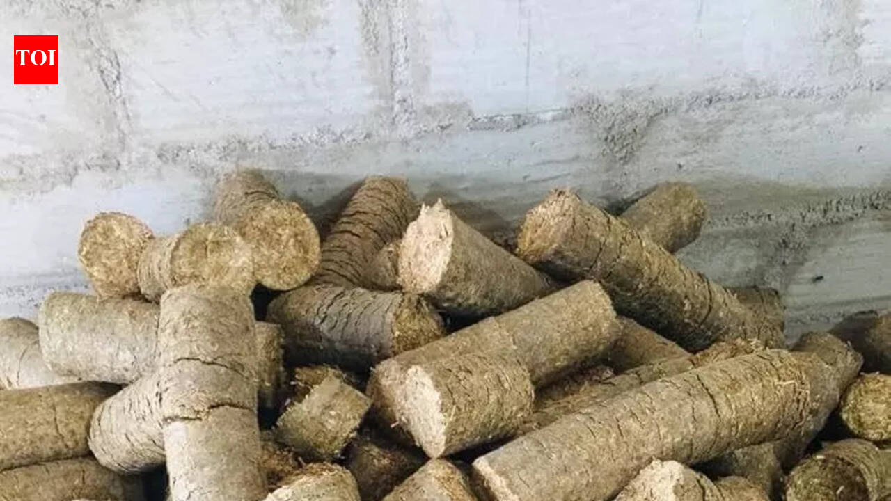 Briquettes from green waste: Bhubaneswar Municipal Corporation’s eco plan
